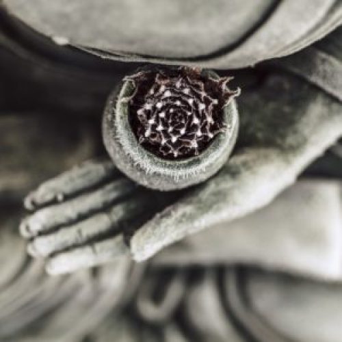 buddha-g813921d24_1920-300x300